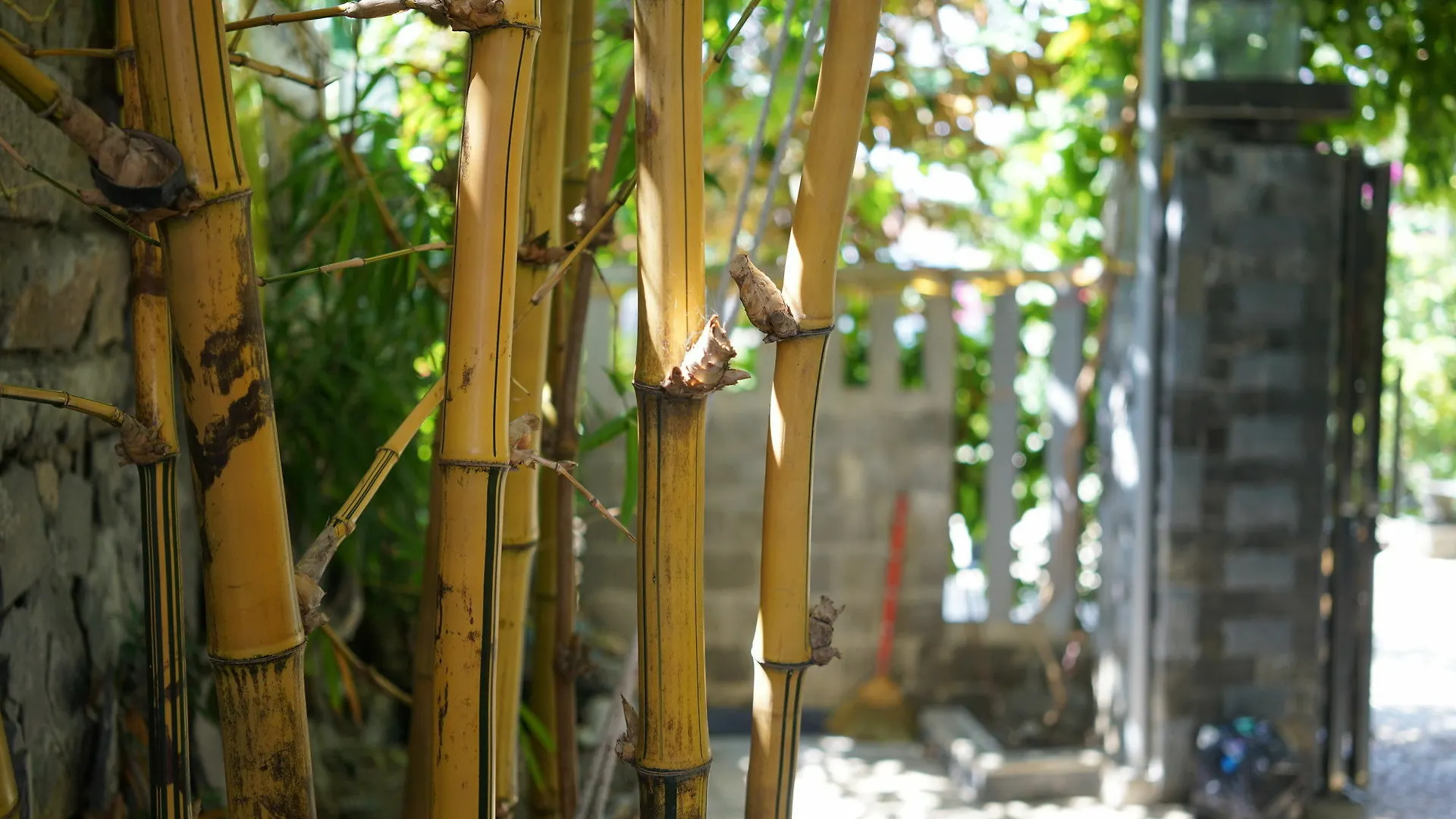Maison d'hôtes Mina Le Villa Hội An